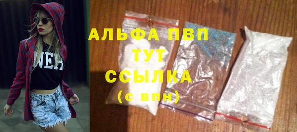 спайс Арсеньев